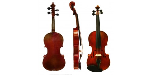 VIOLINES