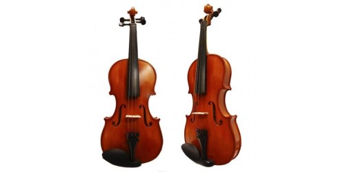 VIOLAS